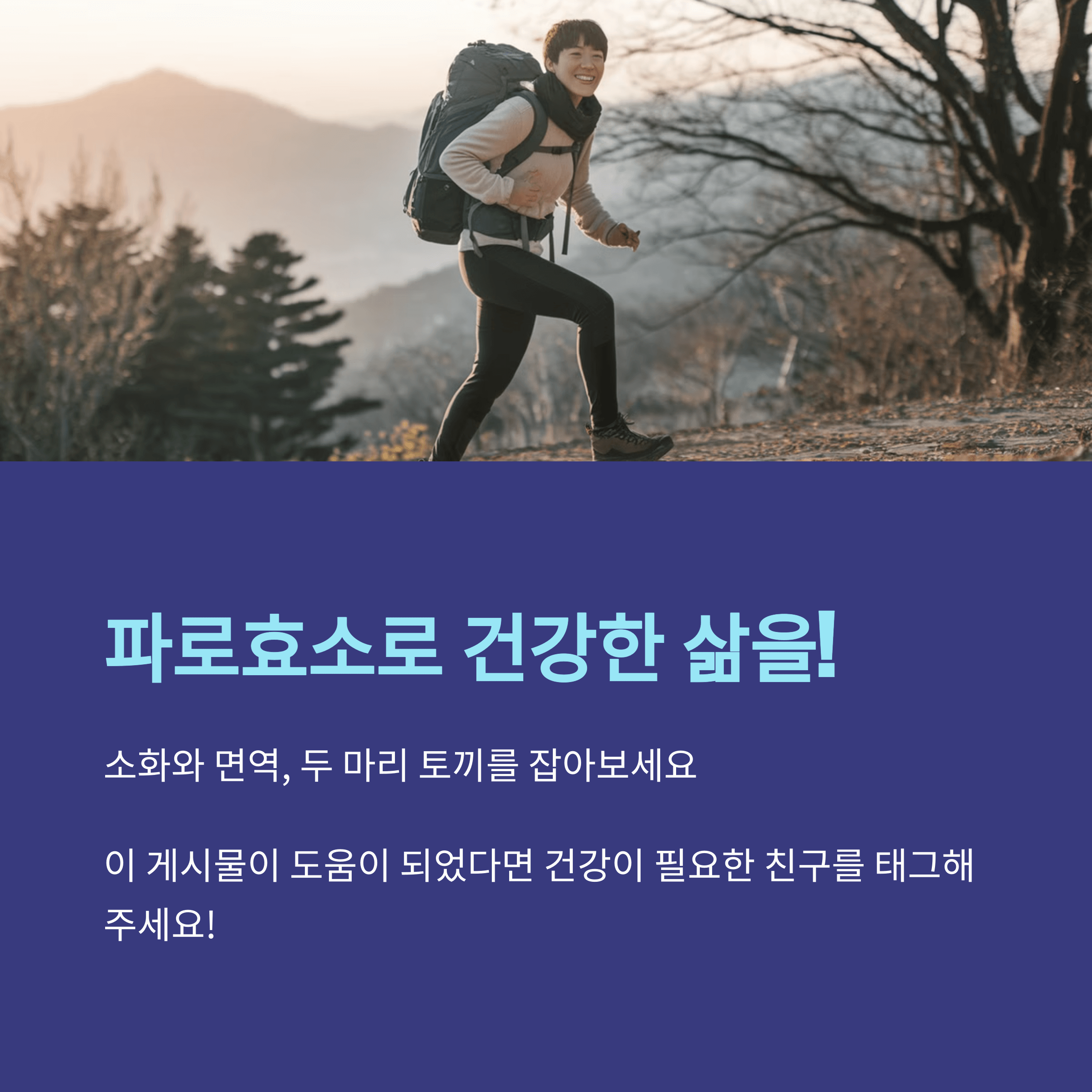 파로효소 효과