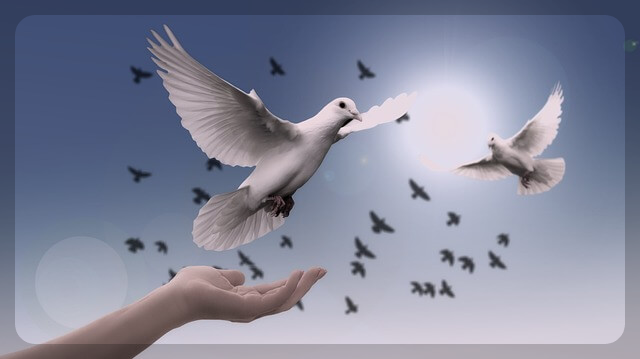 2023 수험생 할인