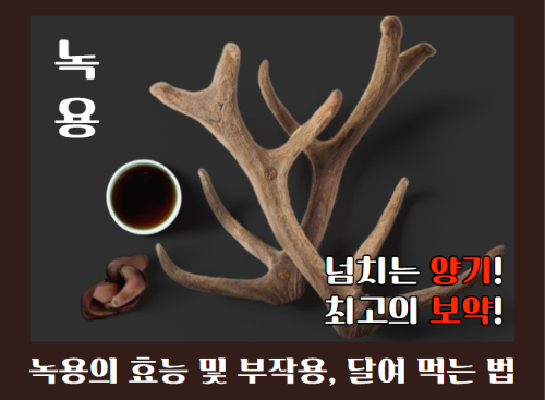 녹용 효능 5가지와 부작용 및 녹용 먹는 방법