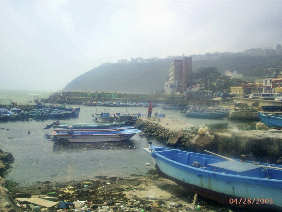 2005년 해운대 청사포 전경