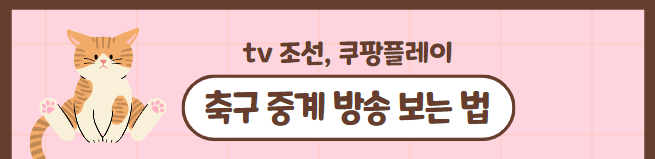 2023년 10월 13일 대한민국 튀니지 축구
