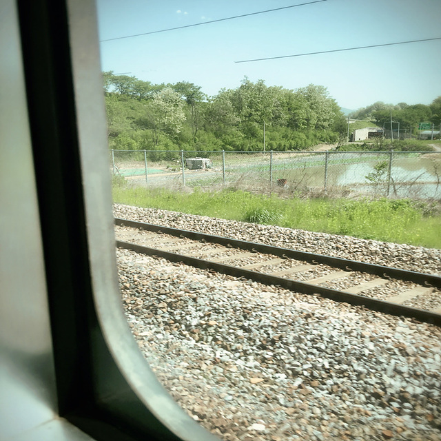 코레일 KTX 승차권 예매 취소