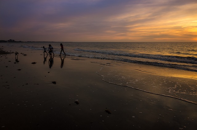 석양무렵 해변을 거니는 사람들