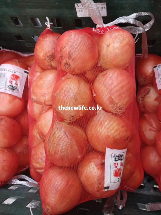 마트나 시장에서 쉽게 구할 수 있는 붉은 망에 가득 담긴 신선한 대용량 저장 양파 실물 사진