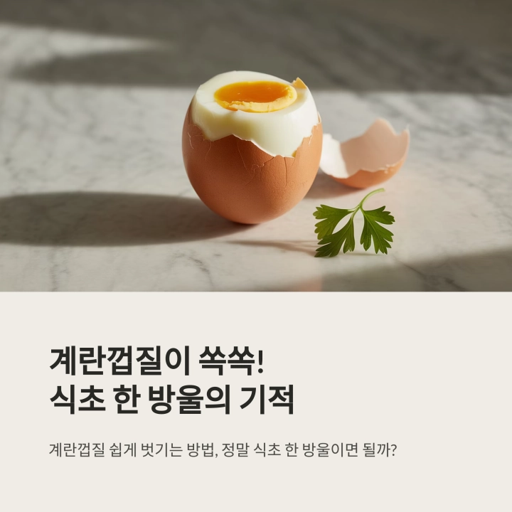 달걀 껍질이 쏙쏙! 식초 한 방울의 기적