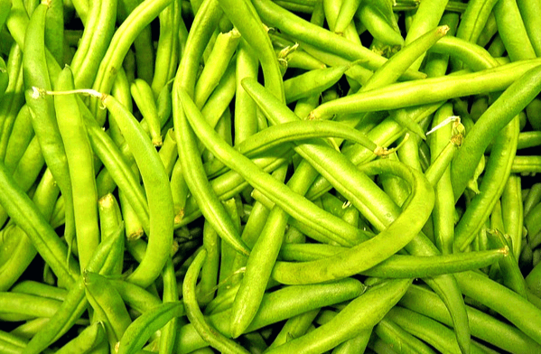 연두색의 가늘고 긴 그린빈들이 수북하게 있다.
