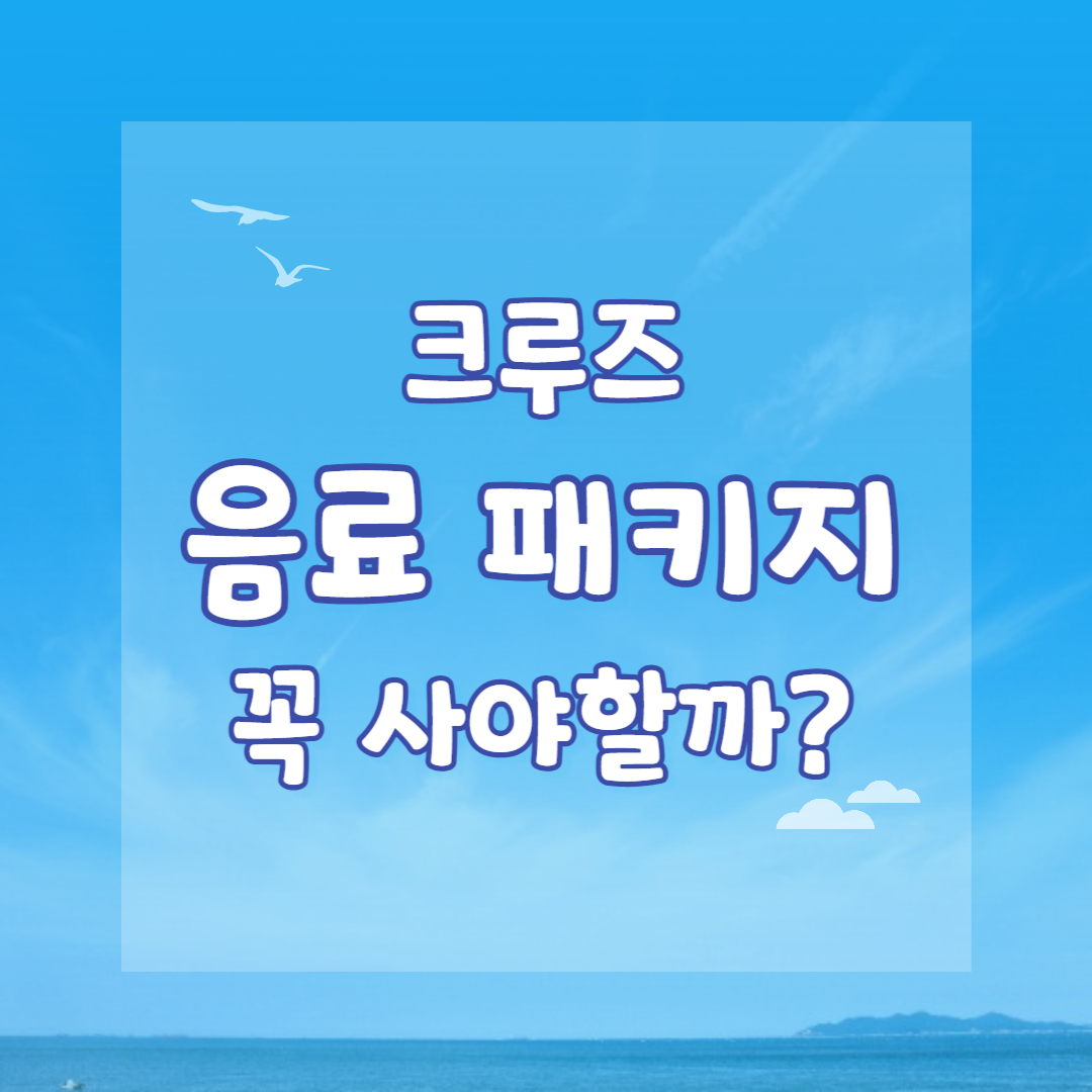 크루즈 음료 패키지