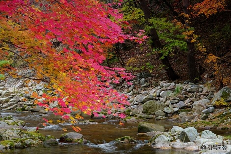 봉화 가볼만한곳 베스트 10