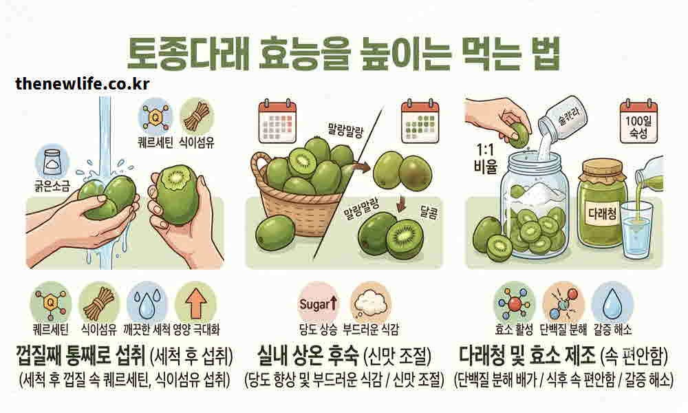 토종다래 효능 높이는 먹는 법