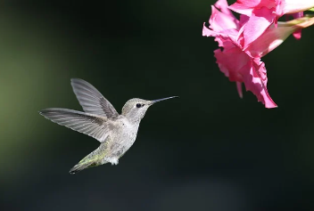 아파트 실거래가 조회 바로 가기 11