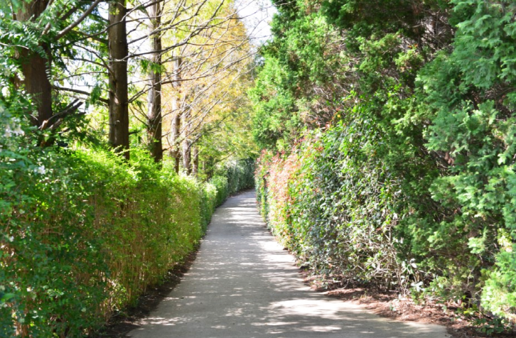 태안 청산수목원