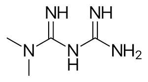 메트포르민 metformin
