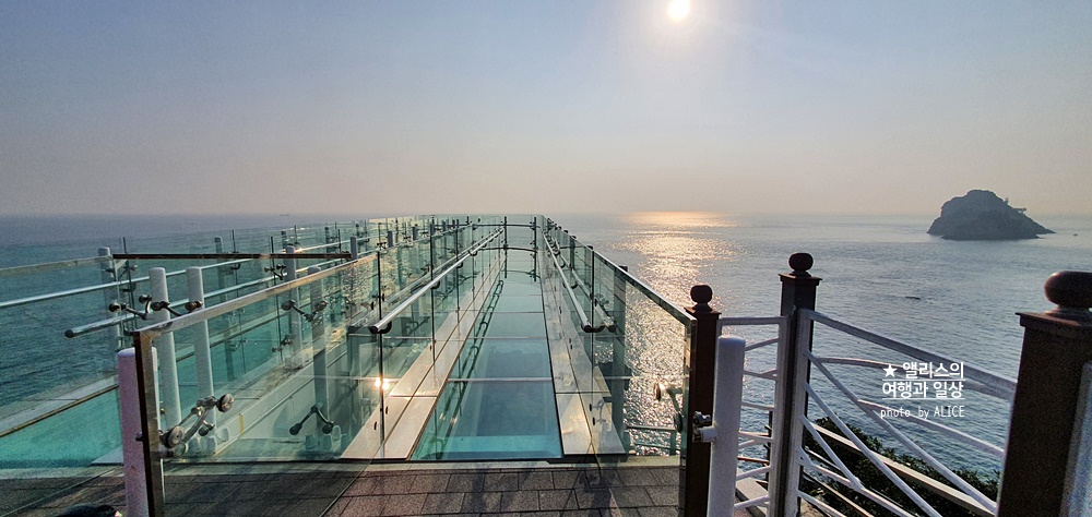 부산 1박2일 여행 추천 코스 + 부산 시티투어 버스 활용하기