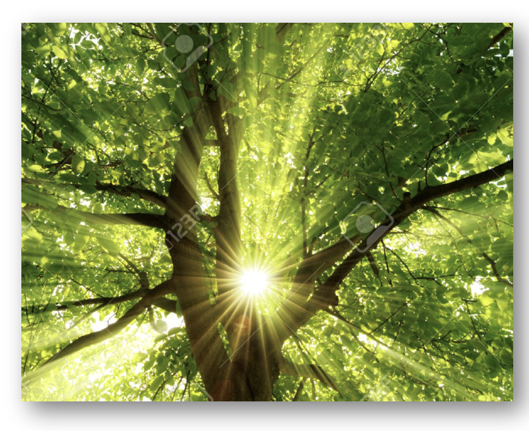 헤드라이트 습기 제거 방법 바로가기