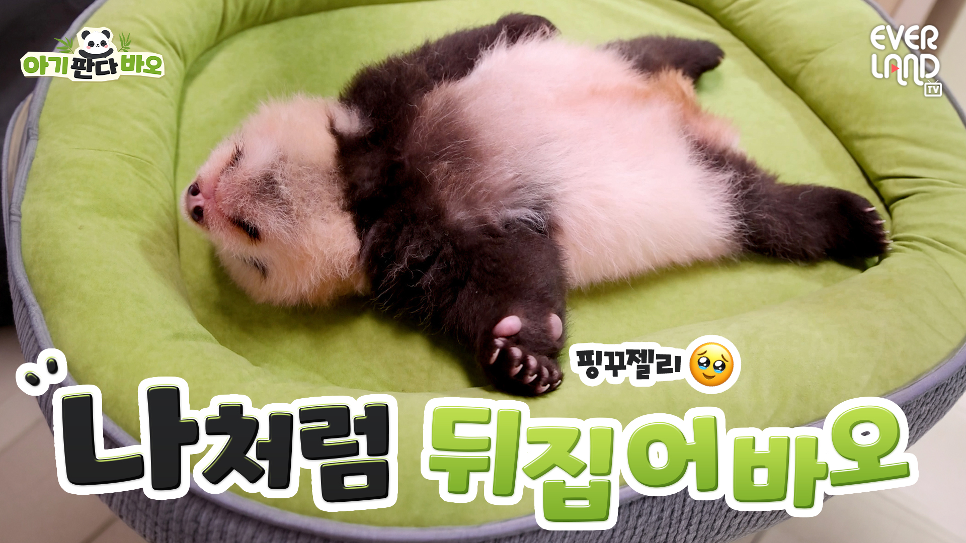 [아기판다바오] EP9. 뒤집기는 이제 기본이죠