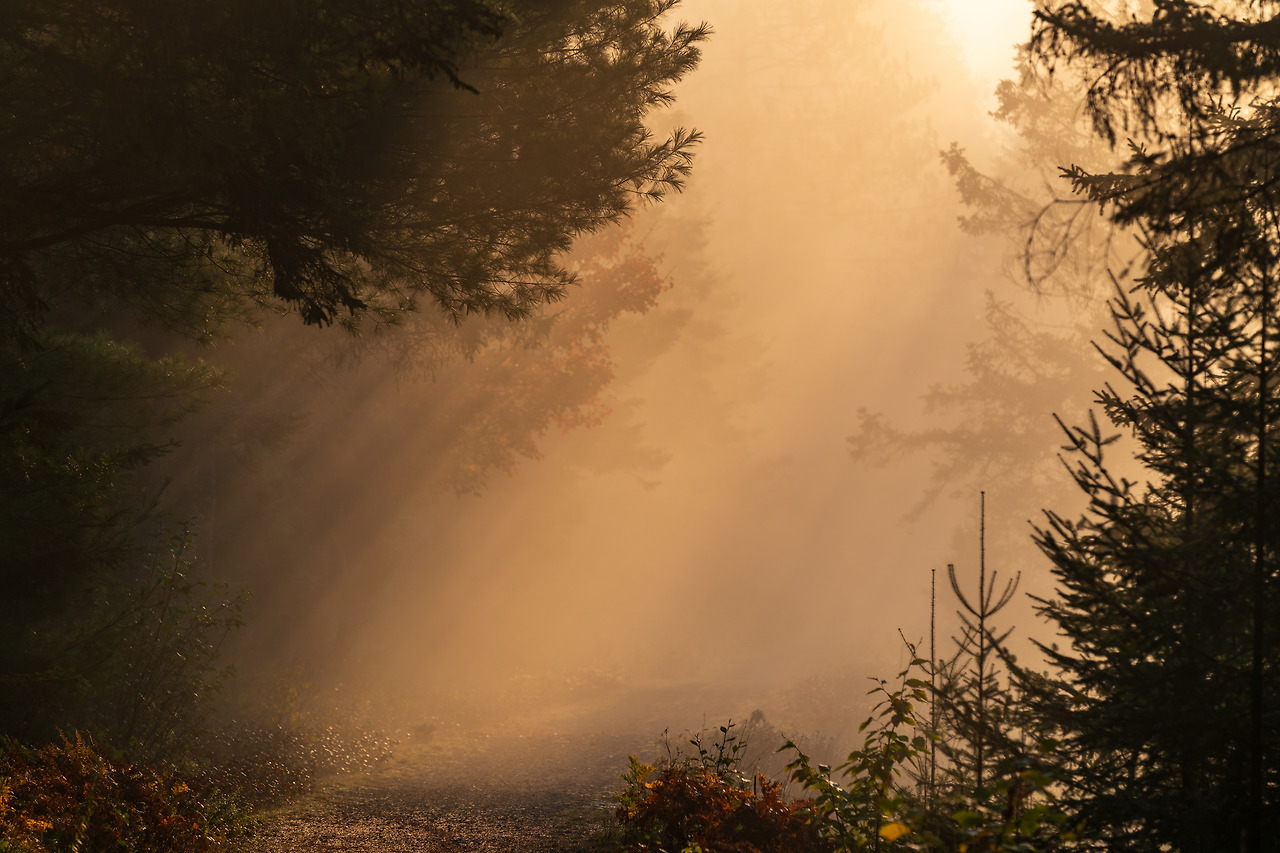 &ldquo;행복은 준비 없는 순간에 오지 않는다&rdquo;