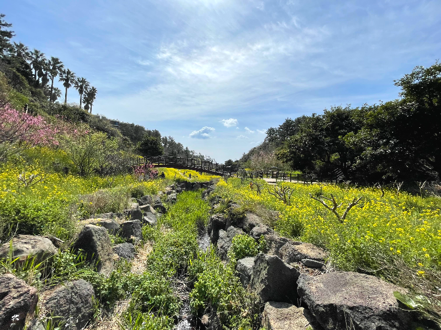중문 미라지 올라가는 길9