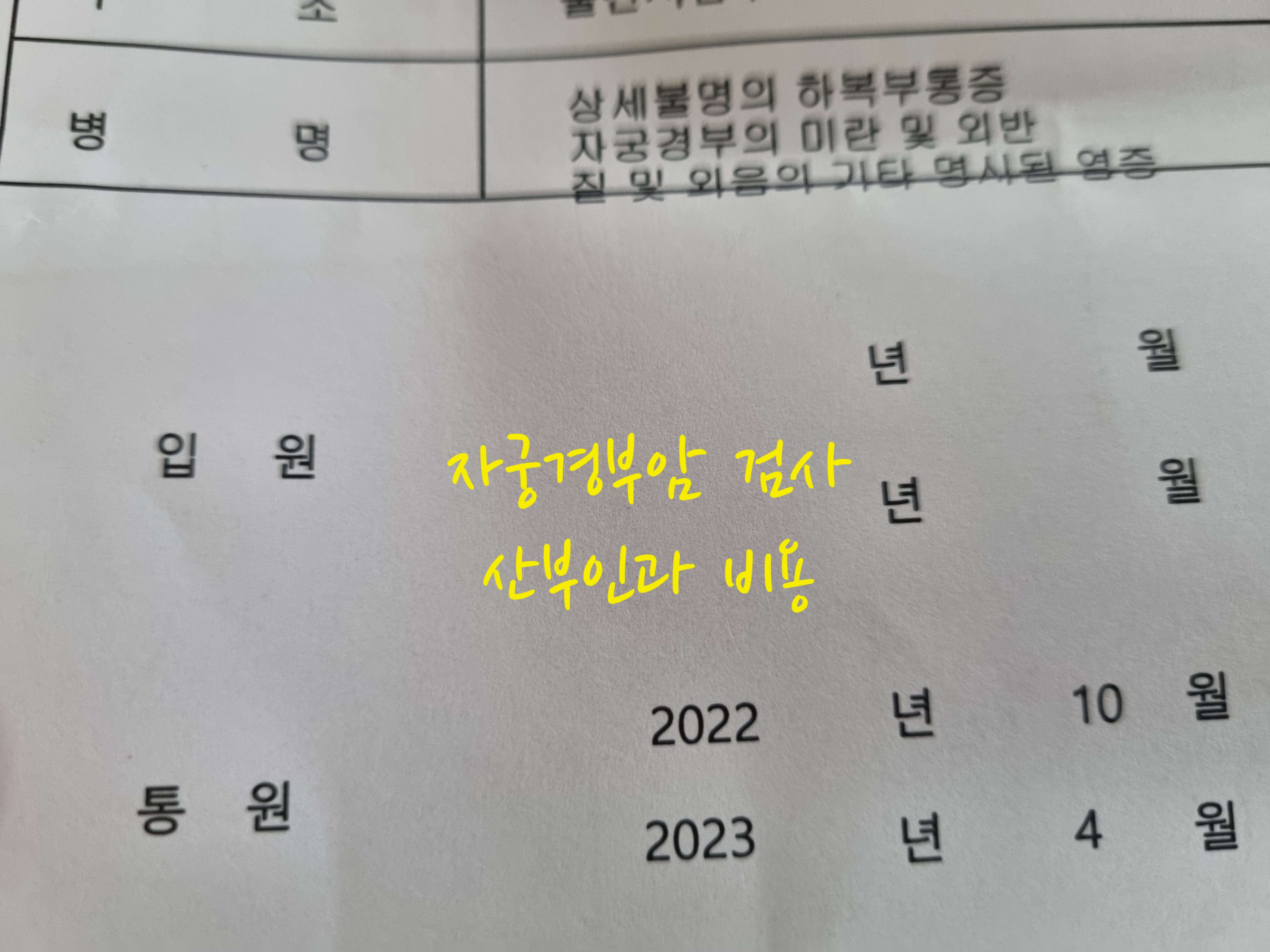 자궁경부암 비용