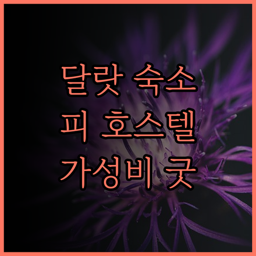 달랏 여행의 완벽한 선택 피 호스텔 