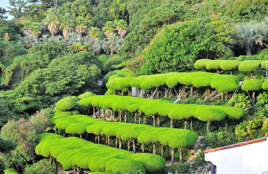 거제 외도 보타니아 여행, 정원 산책부터 가이드까지 관련 사진