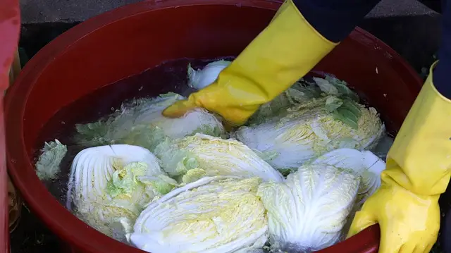 열무물김치 담그는 법