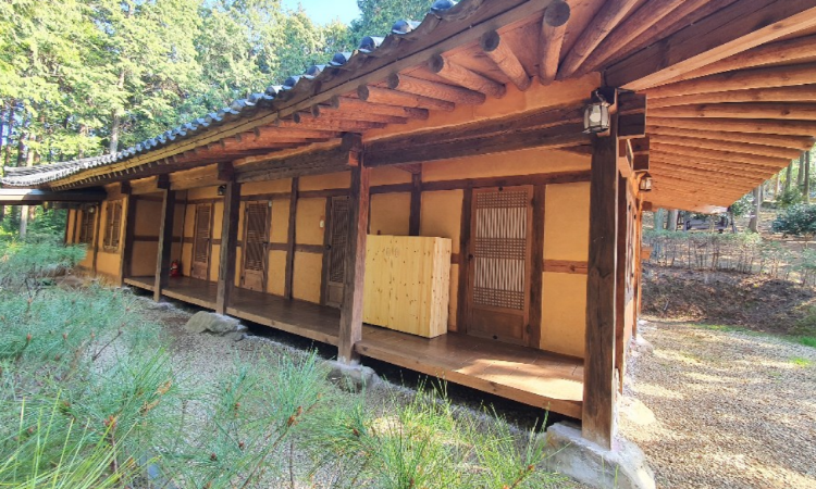 장흥 우드랜드 편백숲