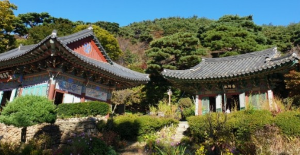 부처님오신날유명사찰