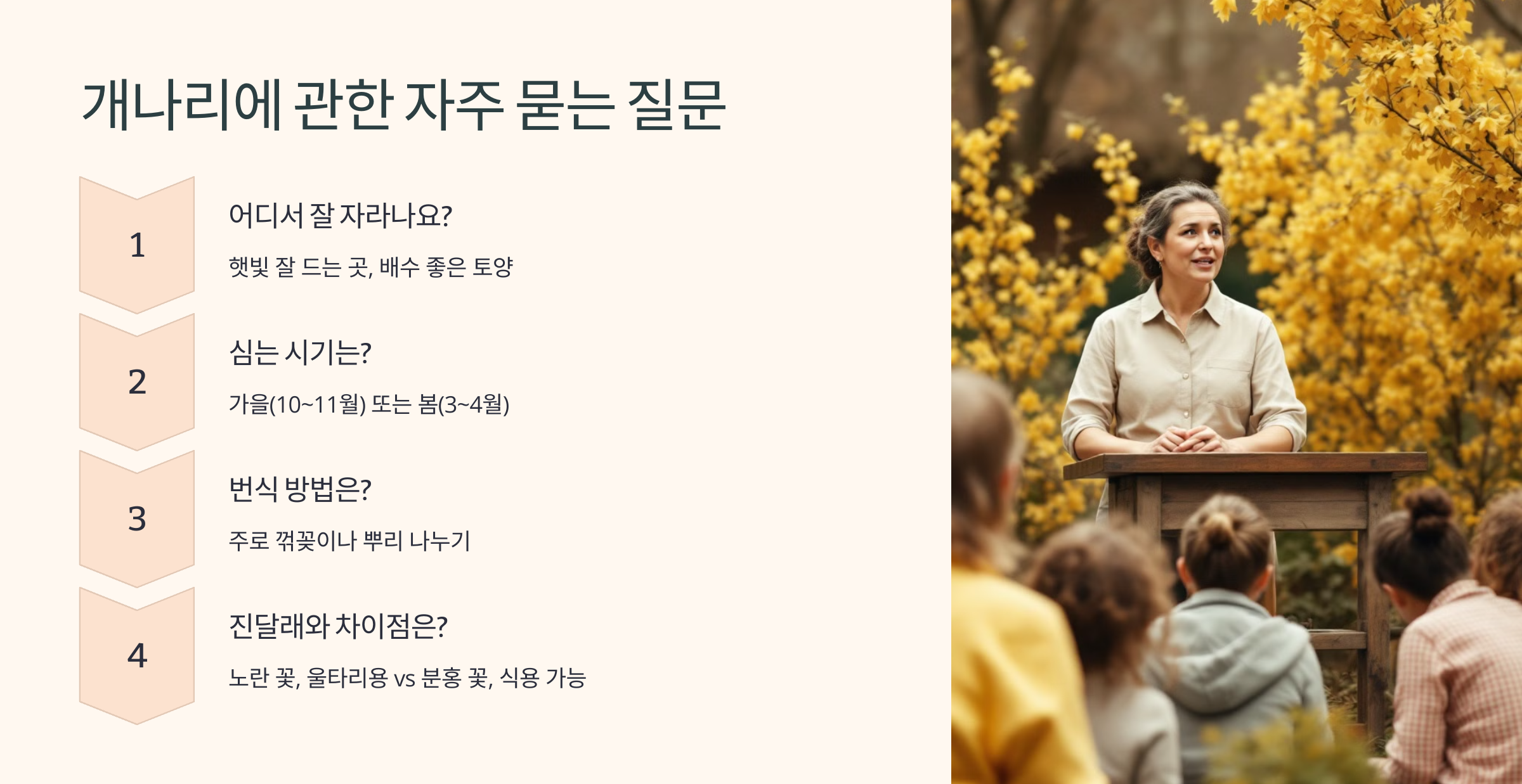 개나리꽃