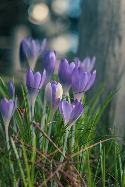 나는 솔로런 마라톤 신청