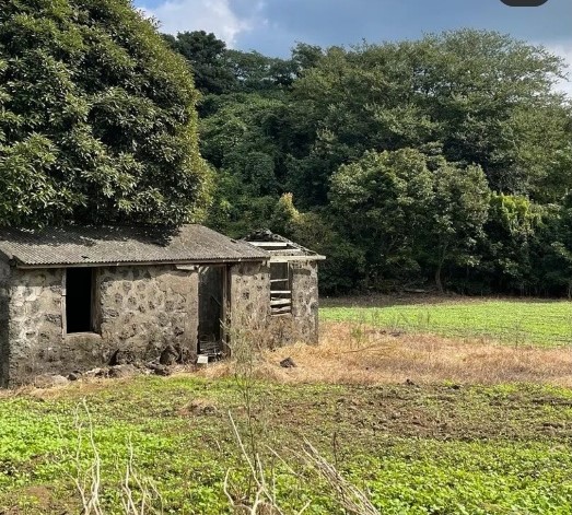 우리들의 블루스 촬영지