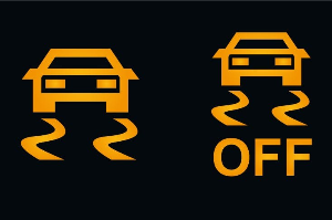 차체자세제어 장치 작동 이상을 알리는 경고등