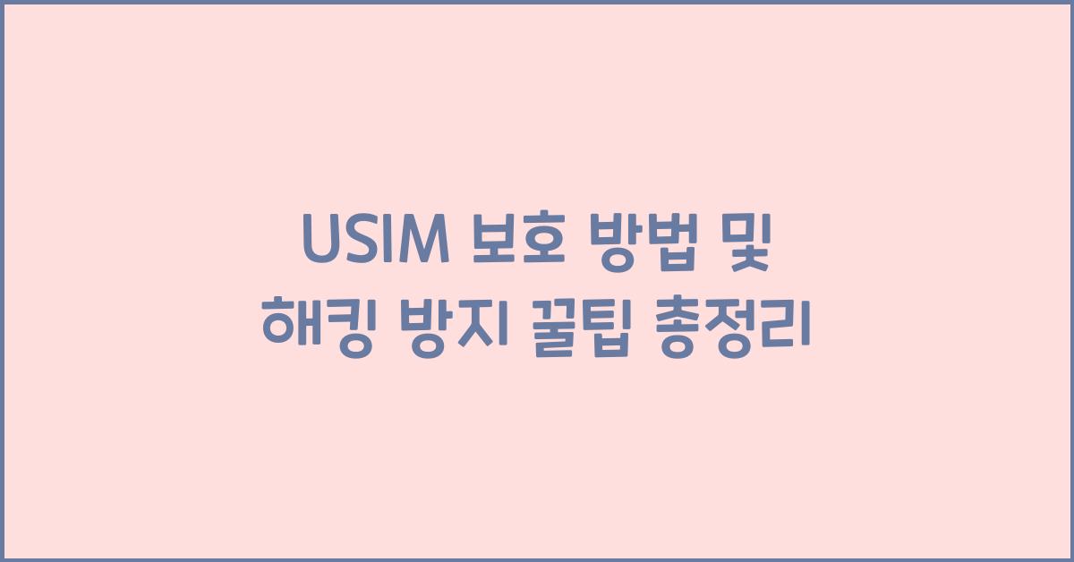 usim 보호 방법