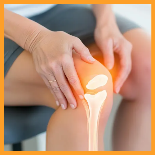 관절보궁효능 관절염 효과 분석 뼈 건강 보조