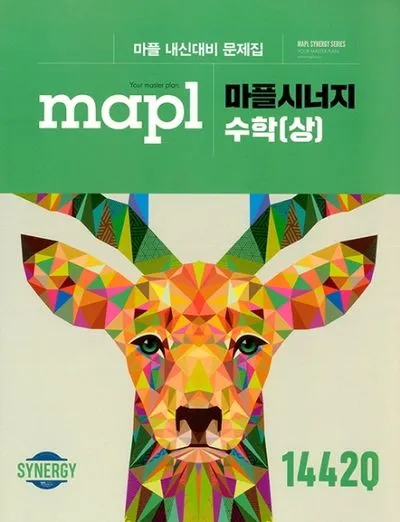 2025 마플시너지 공통수학2 책소개 교재리뷰 답지 모음집_3