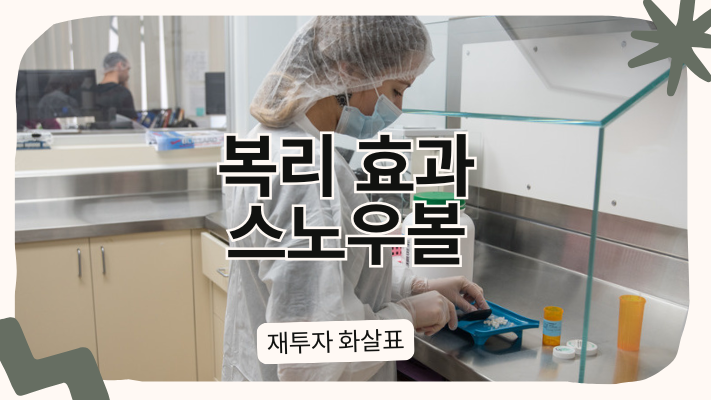 배당 재투자 복리효과 인포그래픽