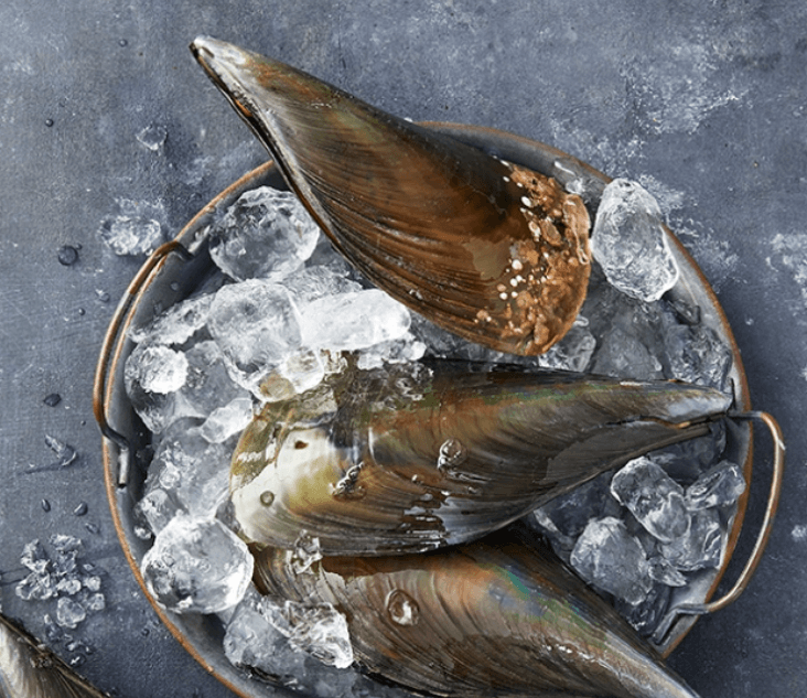 키조개 특징, 키조개 제철, 키조개 손질법, 키조개관자 요리, 키조개 활용 요리 레시피