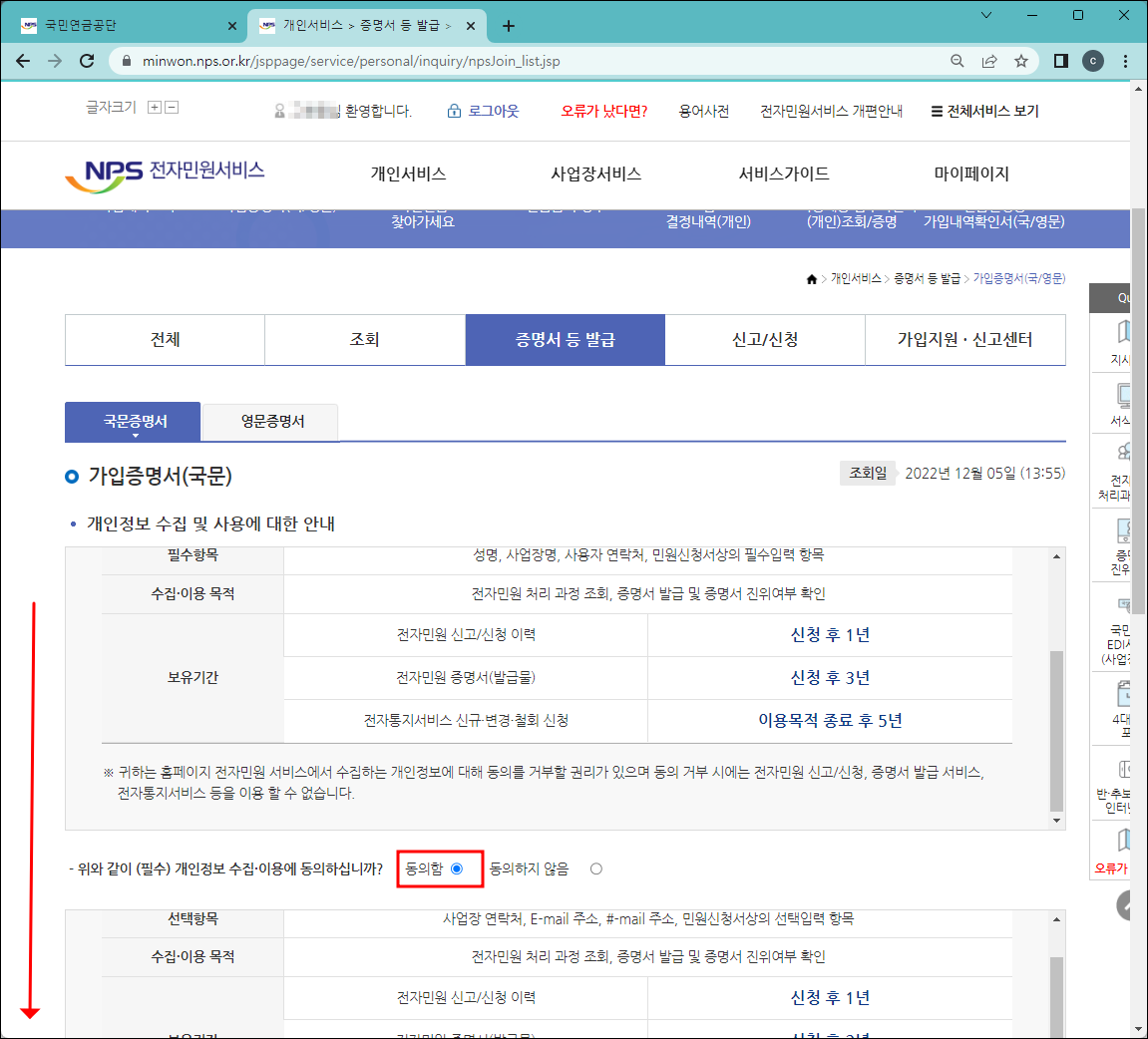 국민연금 가입증명서 국문 발급