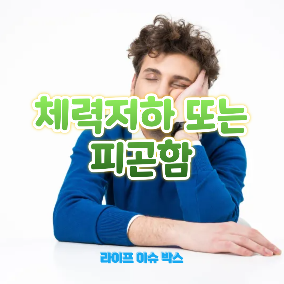 체력저하 또는 피곤함