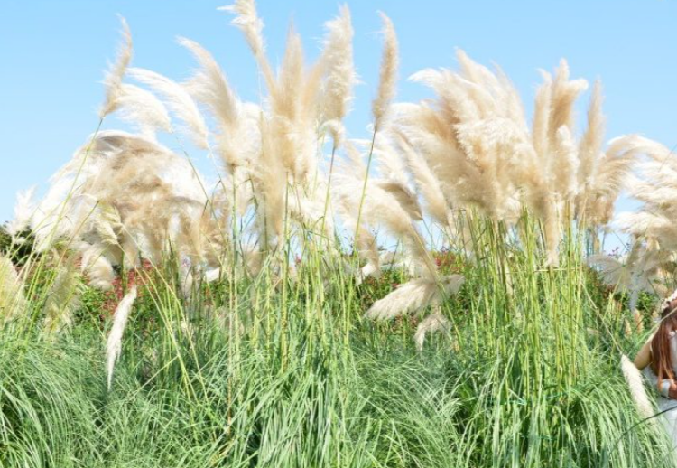 태안 청산수목원