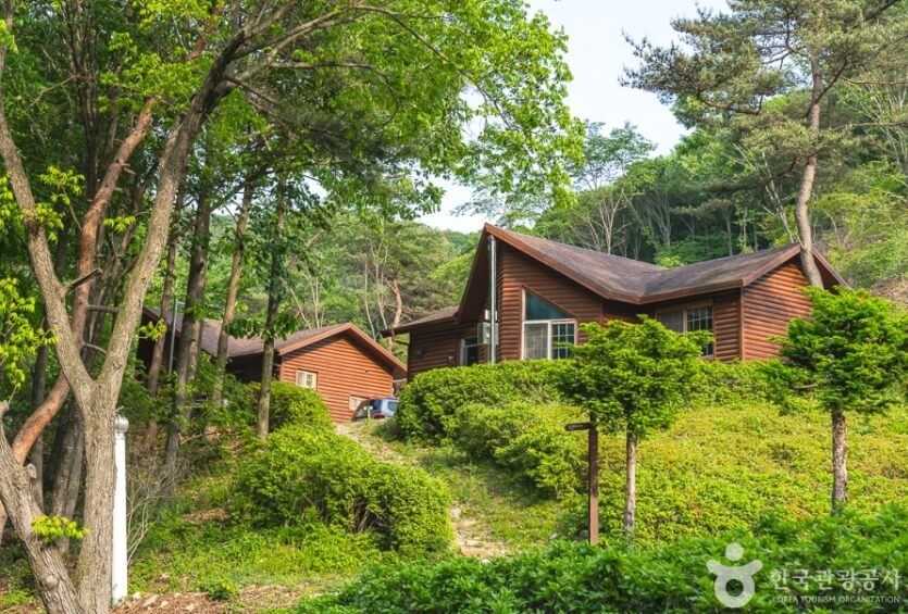 서산 가볼만한곳 베스트 10