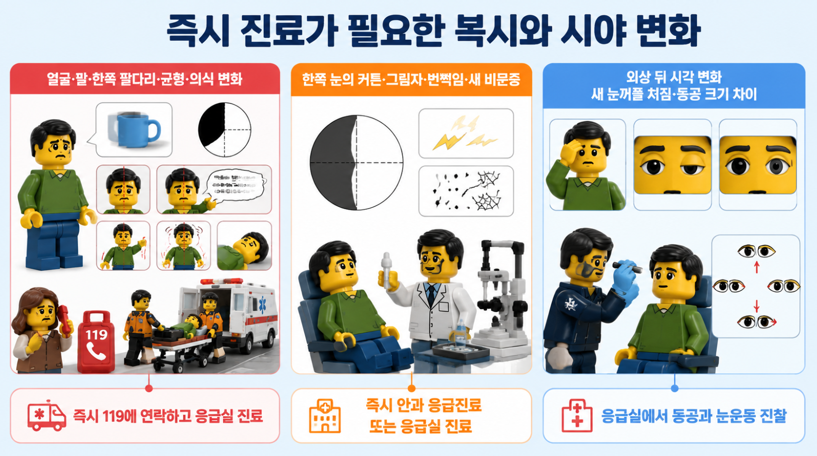 복시와 시야 변화에 신경 증상&middot;커튼 시야&middot;새 비문증&middot;외상&middot;동공 변화가 동반될 때 필요한 응급진료