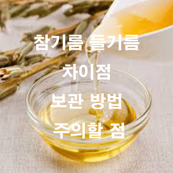 참기름 들기름 차이점 보관 방법 주의할 점