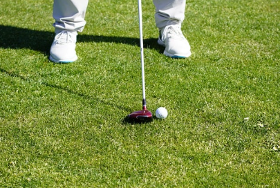 우드, 하이브리드 뭐가 다를까?