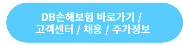DB손해보험