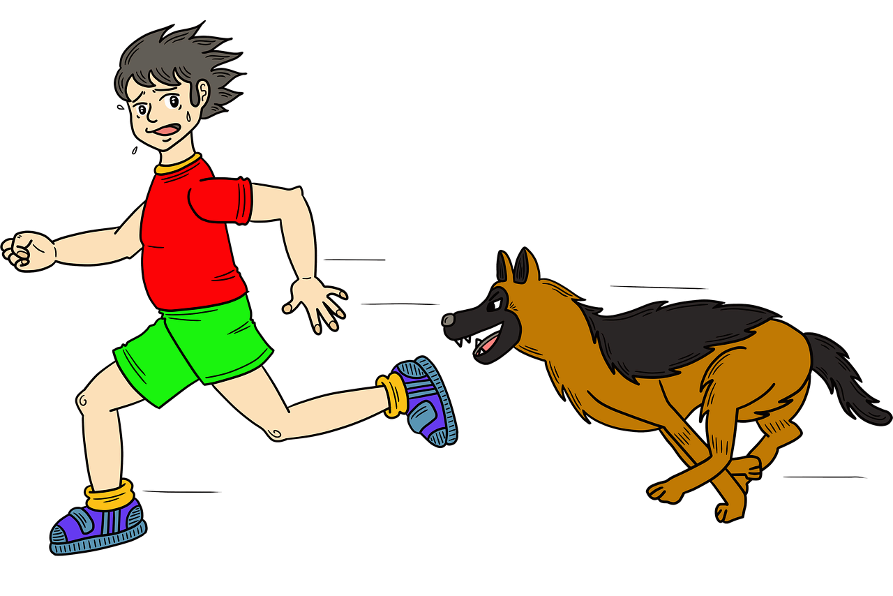 [꿈해몽]쫓기는 꿈 &ndash; 무언가를 피하고 있는 당신에게