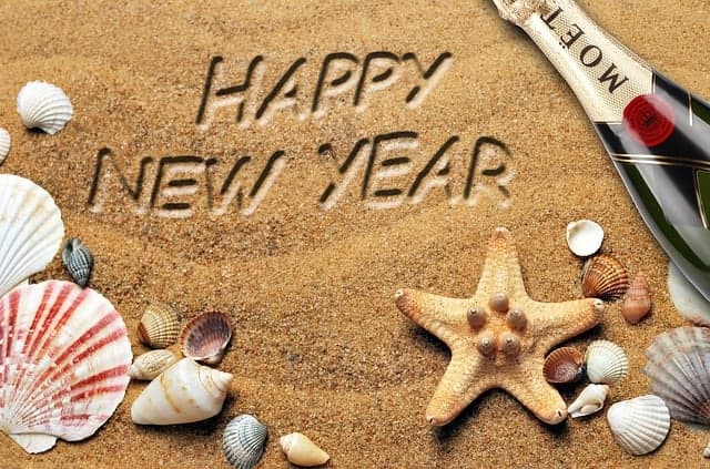 2025년 한해를 마무리하며