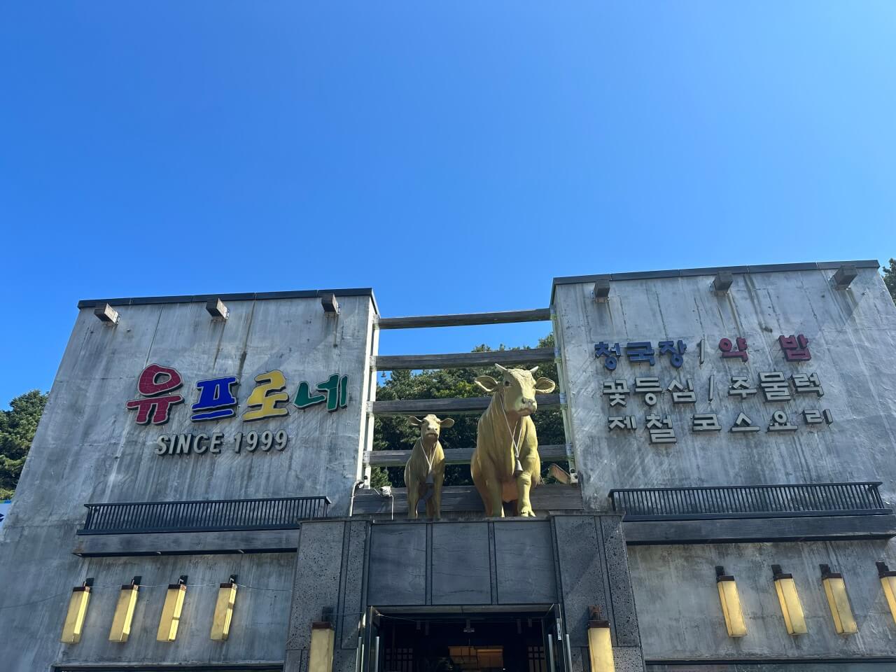 생방송투데이 소불고기 용인 처인구 맛집