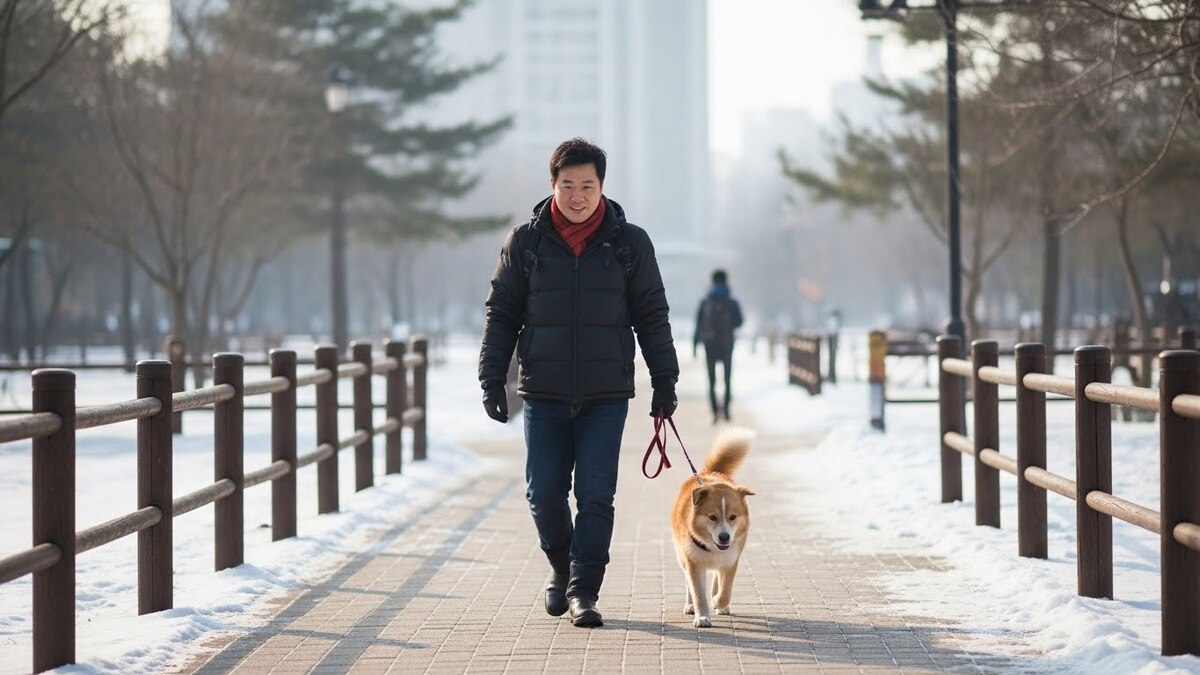 우리 반려견 체격&middot;나이에 맞는 겨울 산책 시간과 강도 이해하기