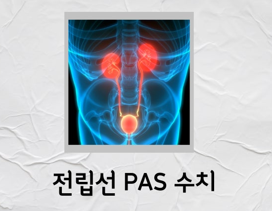 PSA 수치 정상범위 상승 원인