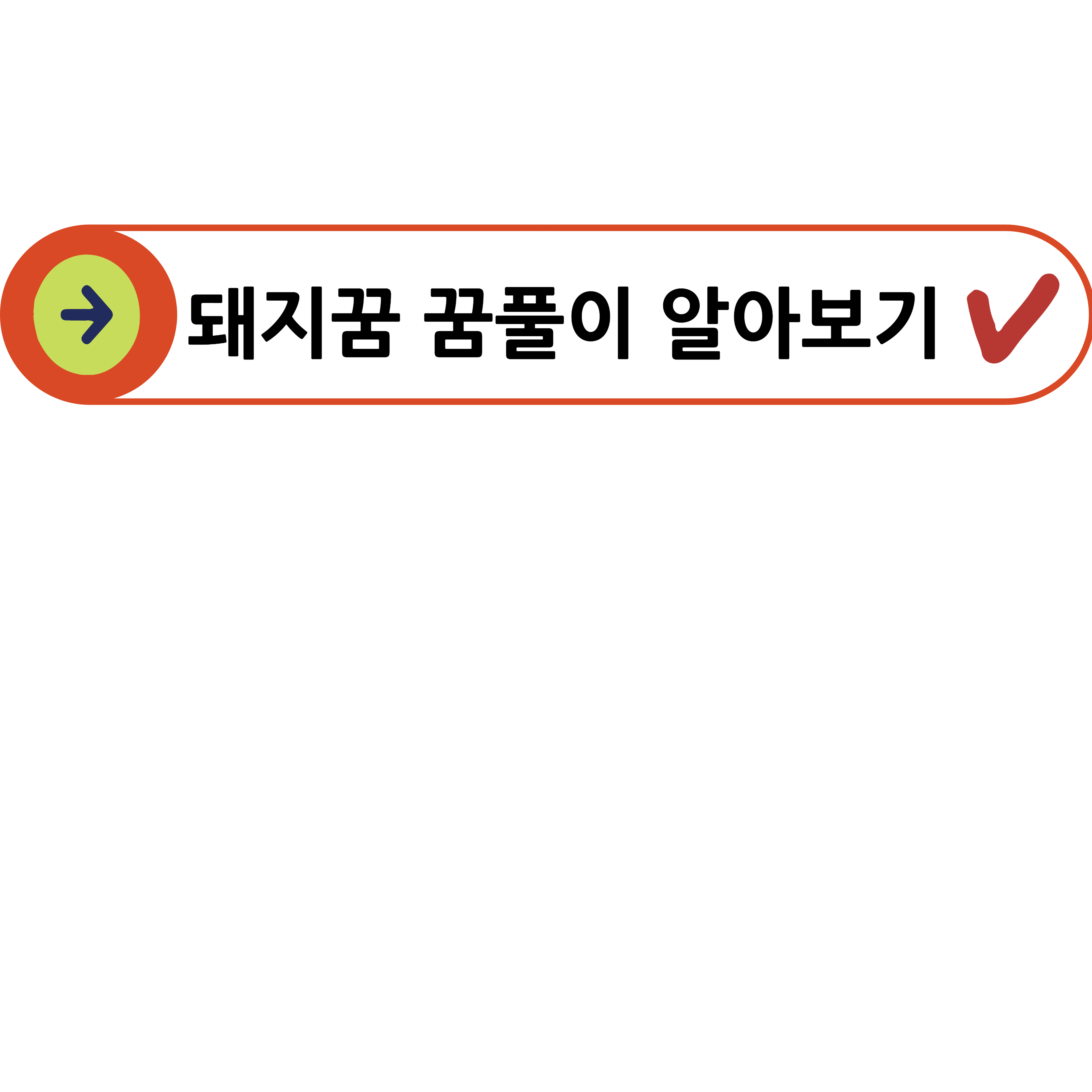 돼지꿈 꿈해몽
